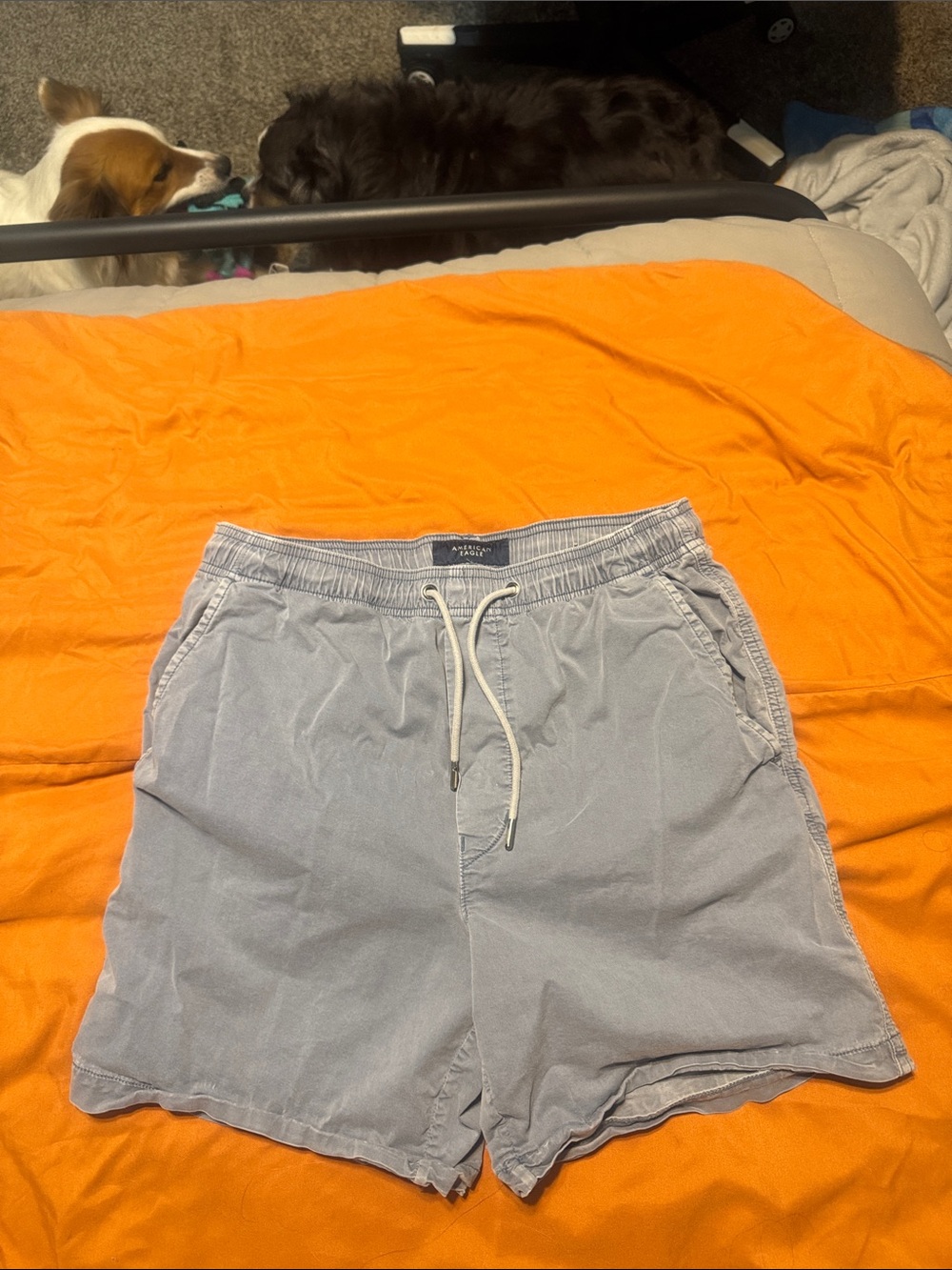 American Eagle Outfitters Light Wash Blue Elastic Waist Shorts